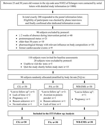 Effects of Whole-Body Electromyostimulation on the Energy-Restriction-Induced Reduction of Muscle Mass During Intended Weight Loss